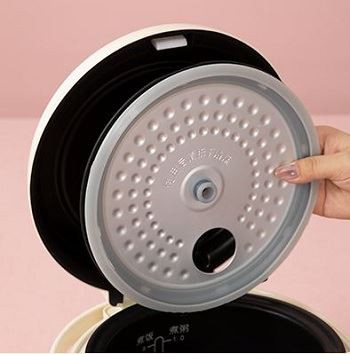 Details of Smart Rice Cooker And Warmer