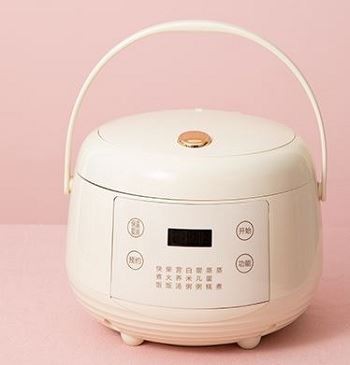 Details of Smart Rice Cooker And Warmer-2
