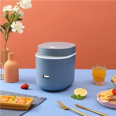 1.2 Litre Mini Rice Cooker For One Person
